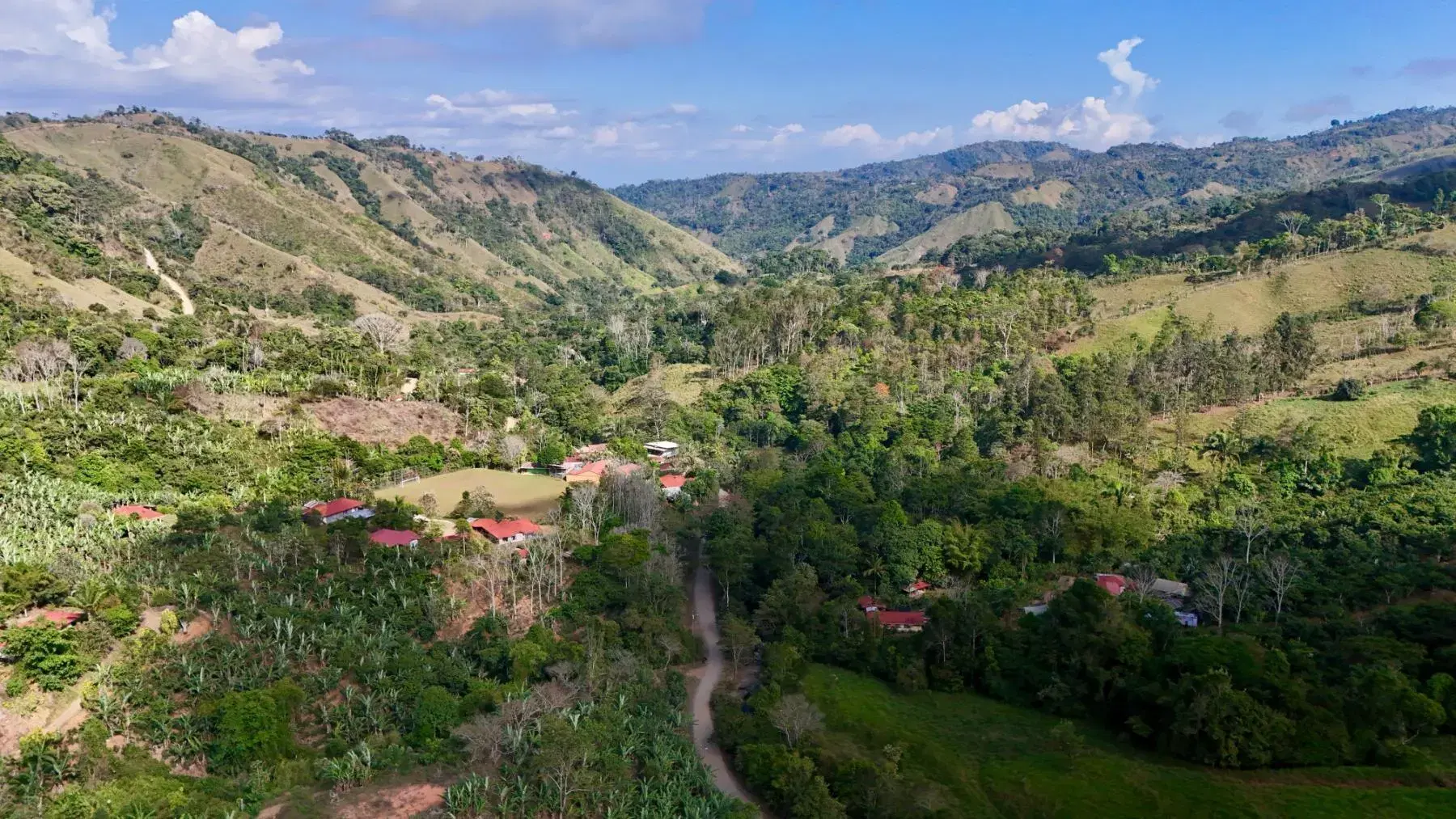 Land at Bahía Ballena