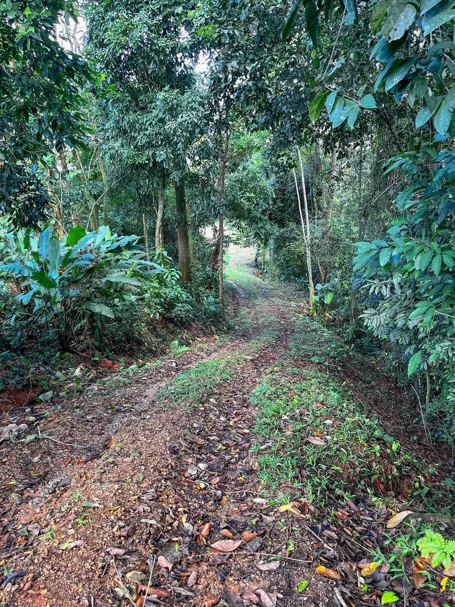 Terreno en Bahía Ballena