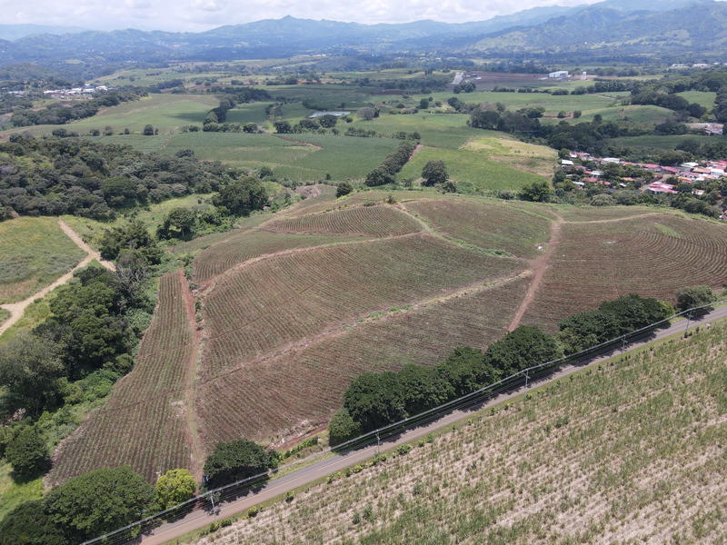 Land at Grecia