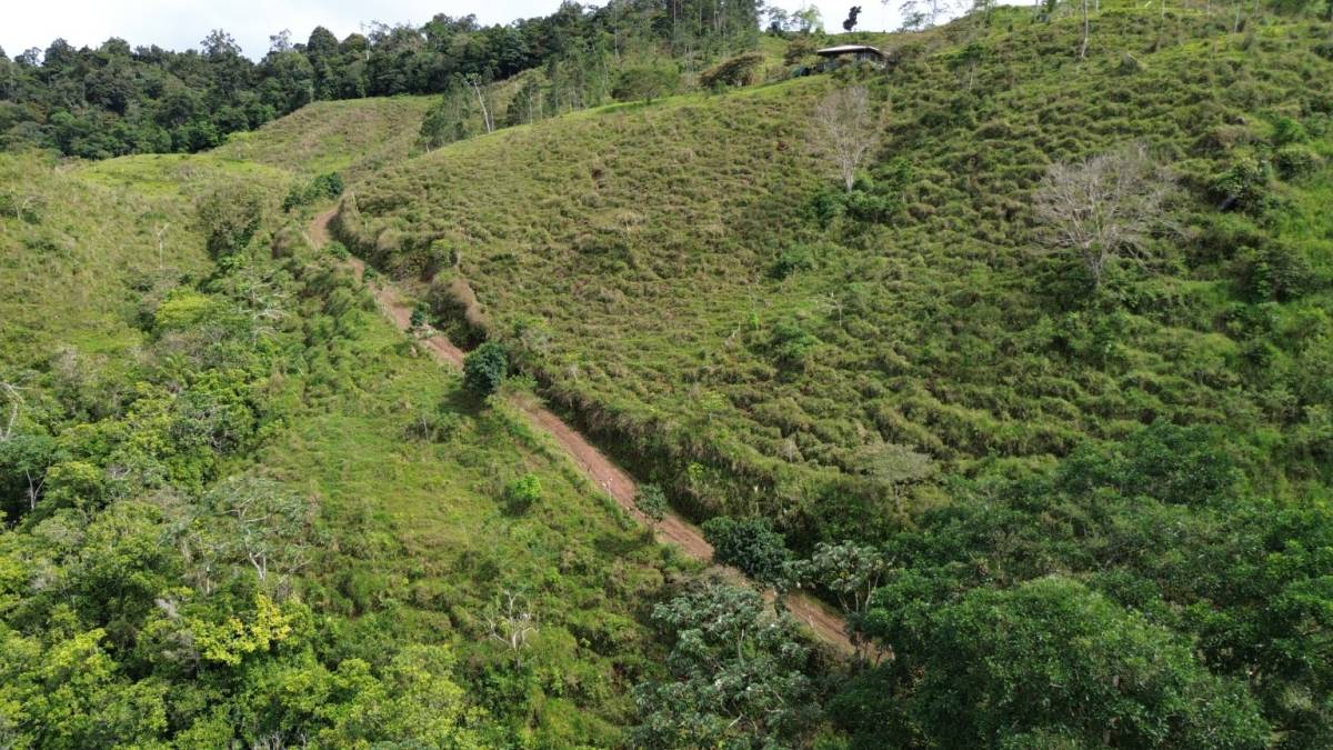 Finca en Turrialba