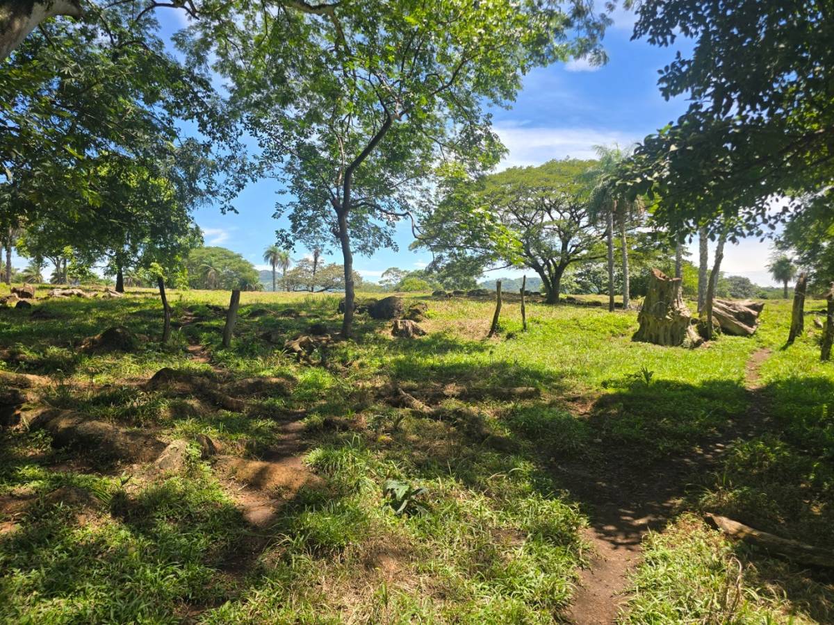 Propiedad en Picagres