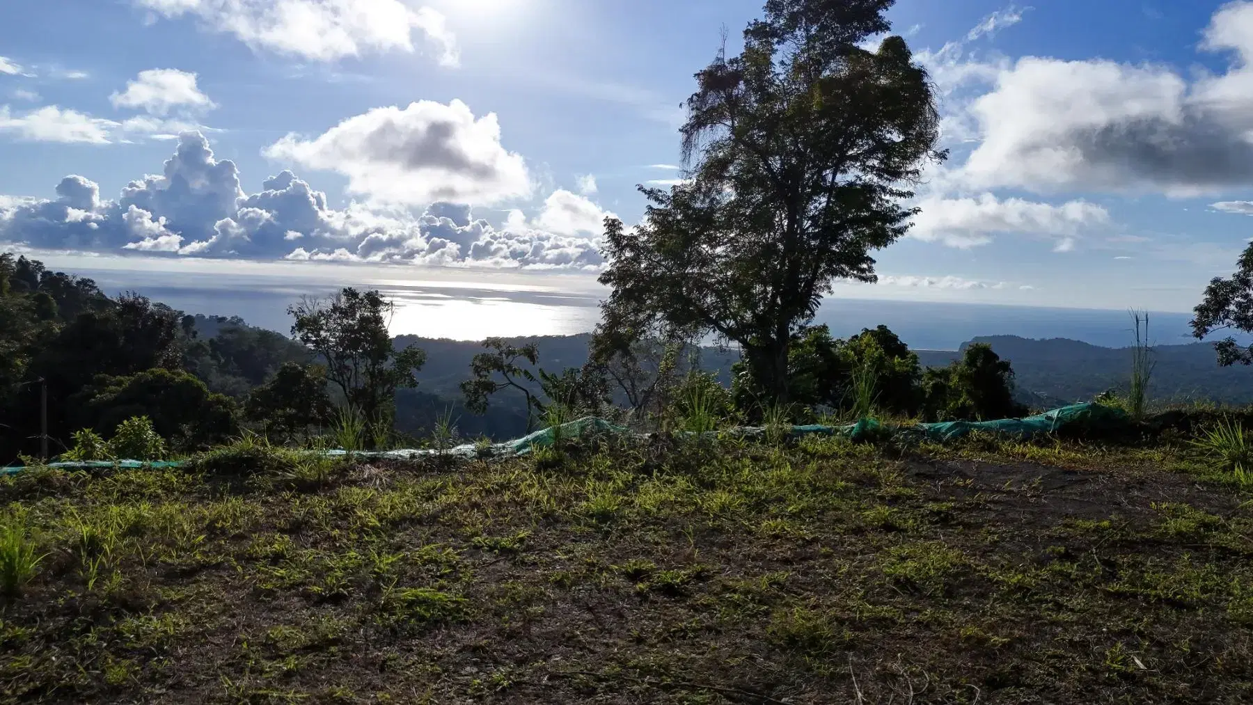 Land at Puerto Cortés