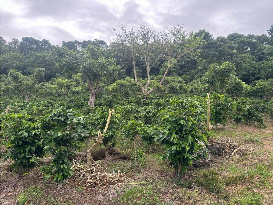 Terreno en San Miguel
