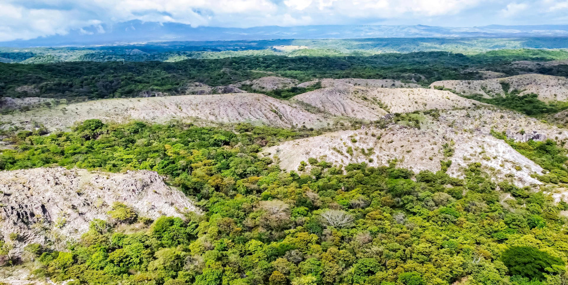 Property at Guanacaste