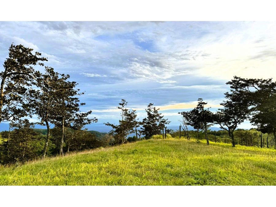 Land at Piedades Sur