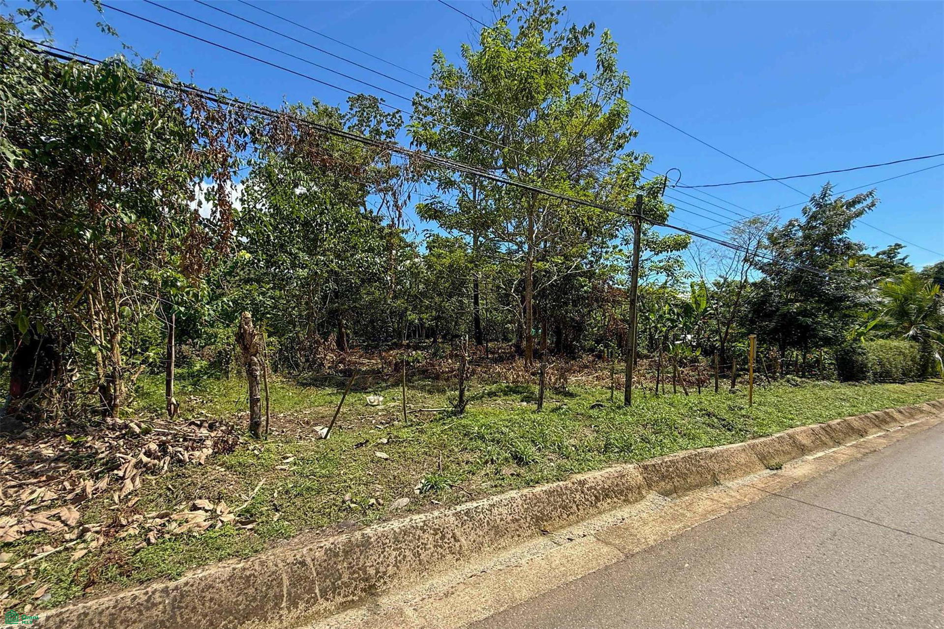 Property at Ojochal
