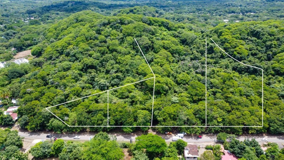 Propiedad en Tamarindo