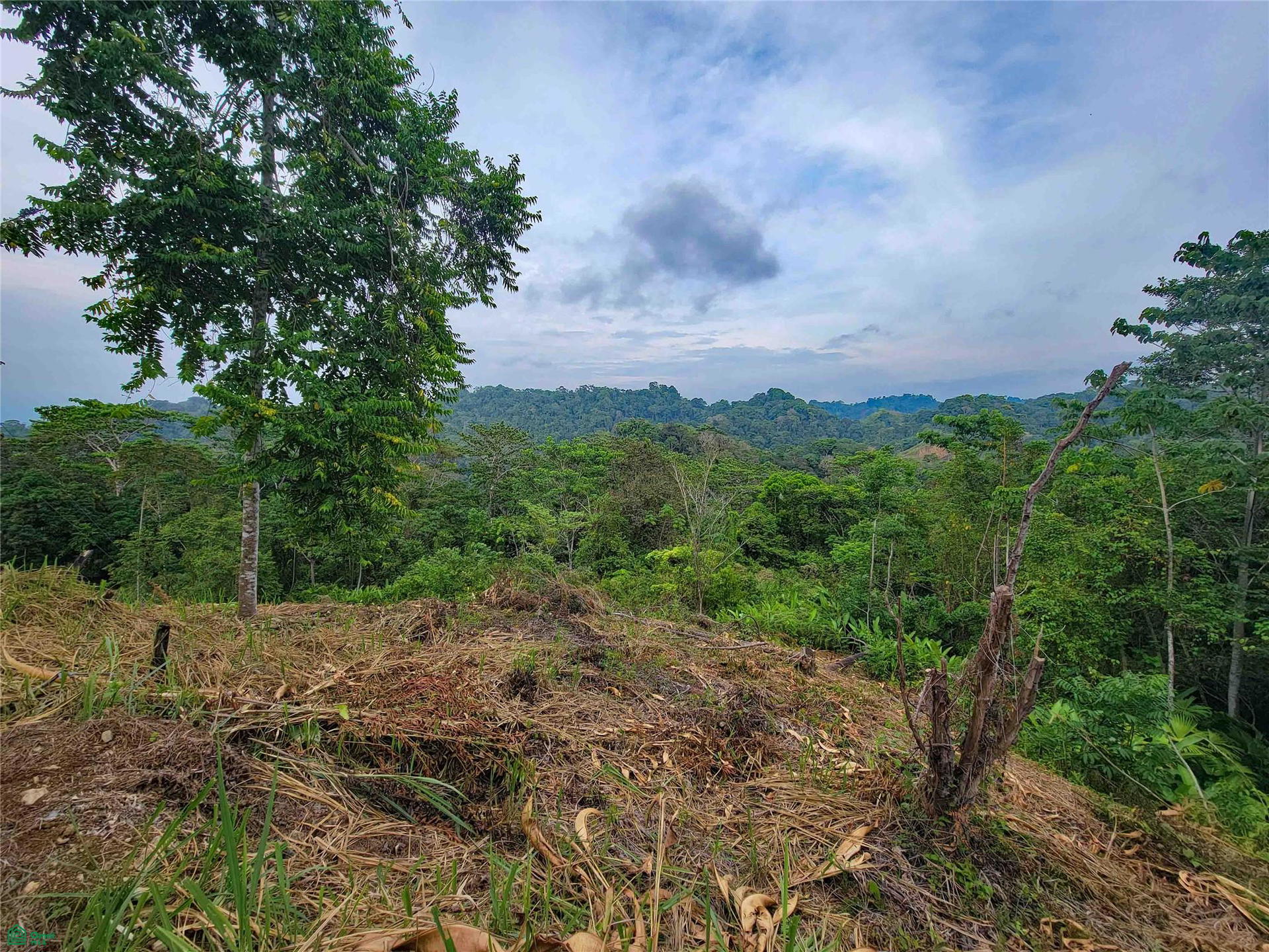 Land at Guaycará