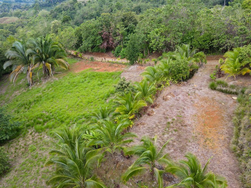 Terreno en Puerto Cortés
