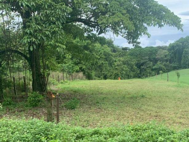 Propiedad en La Ceiba