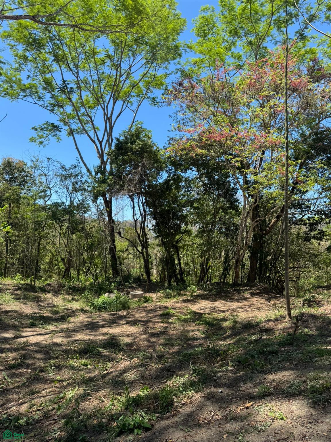 Terreno en Cóbano