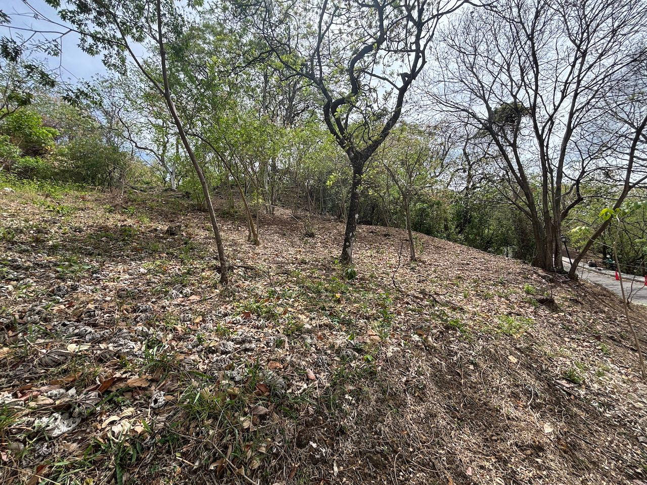 Propiedad en Condominio Villa Real