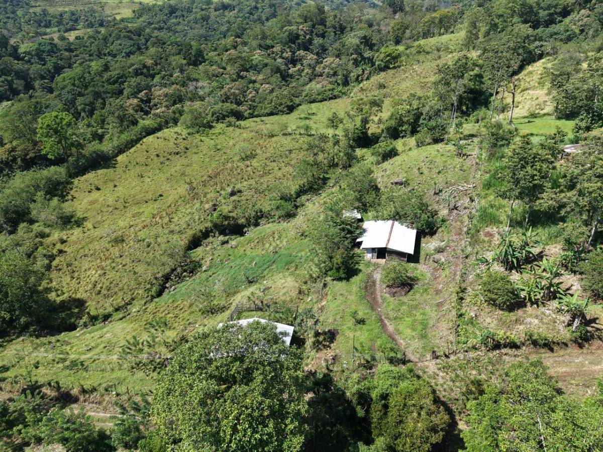 Finca en Turrialba