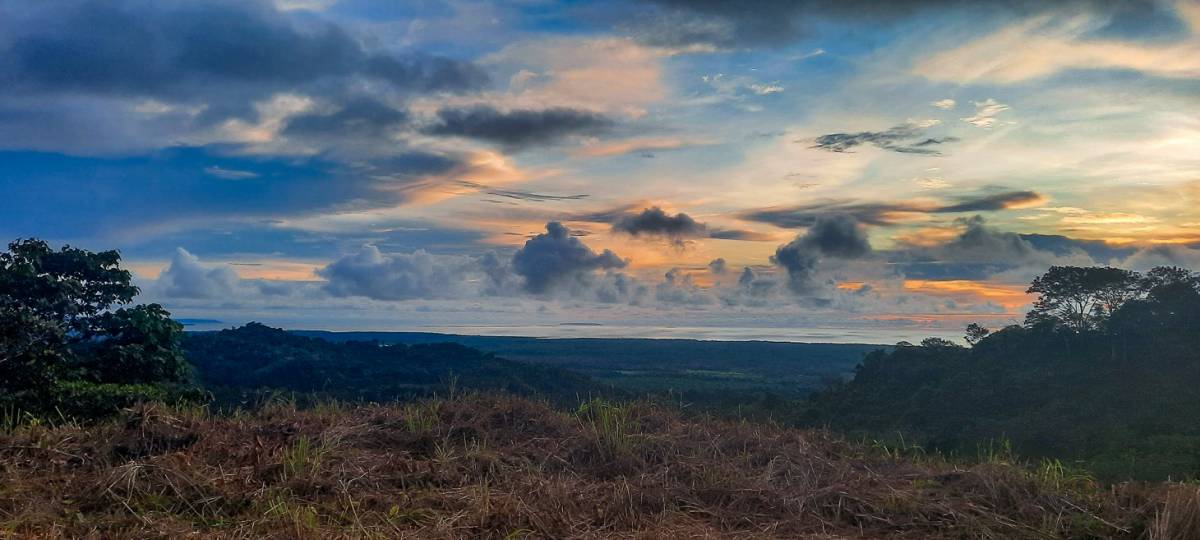 Property at Chontales