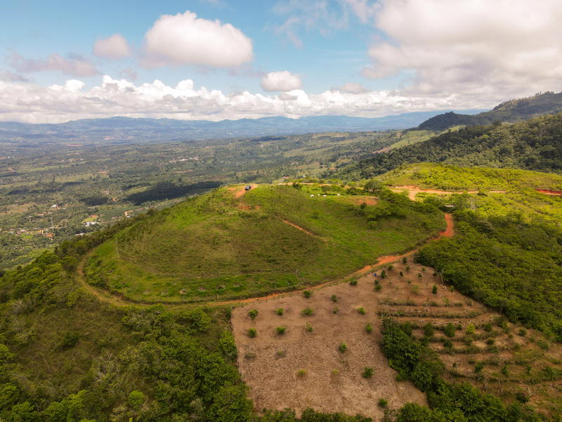 Terreno en San Pedro