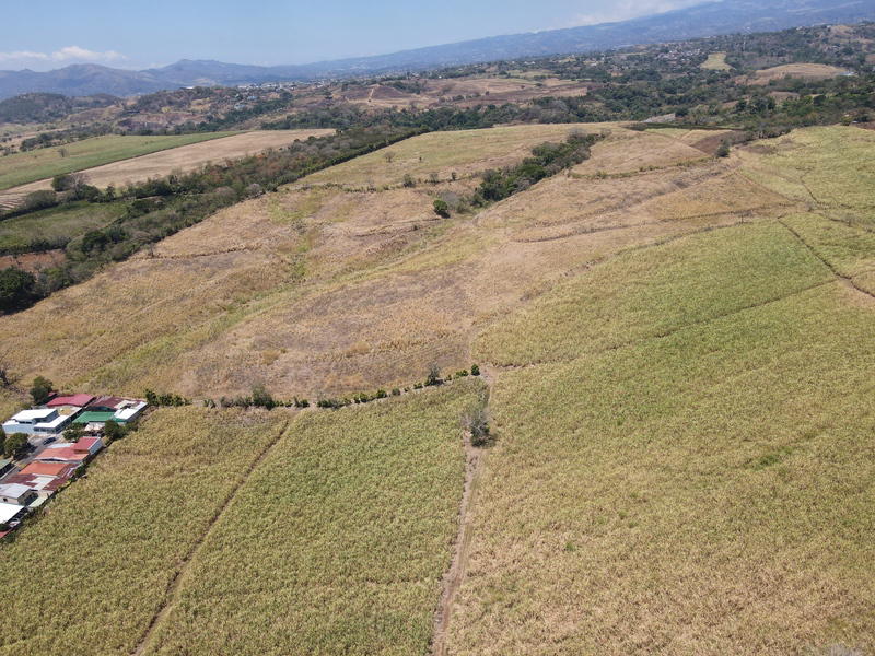Land at Grecia