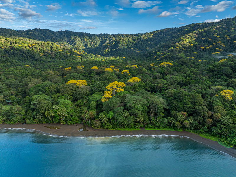 Property at Golfito