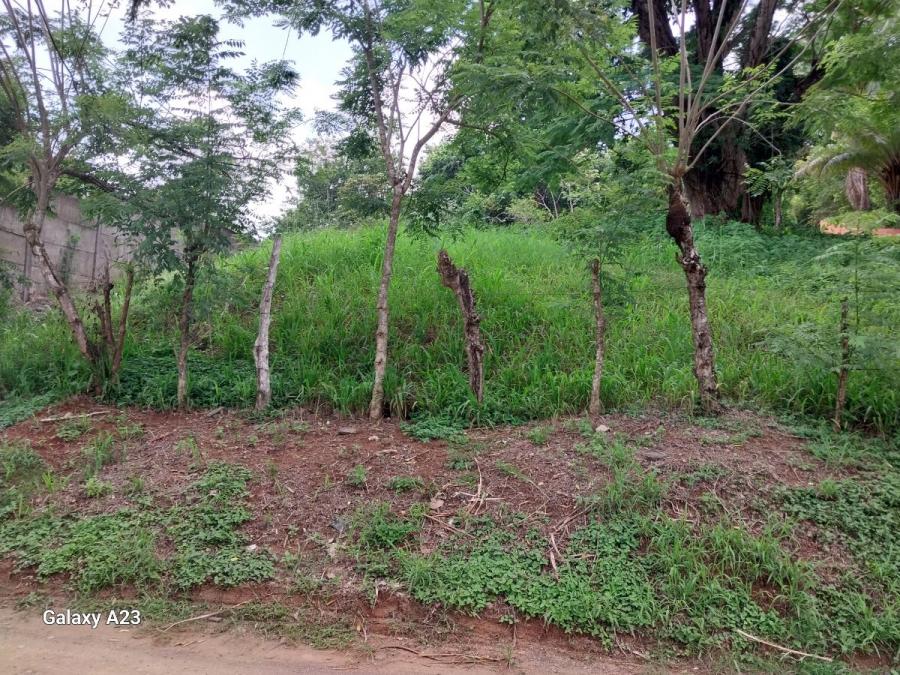 Land at Jacó