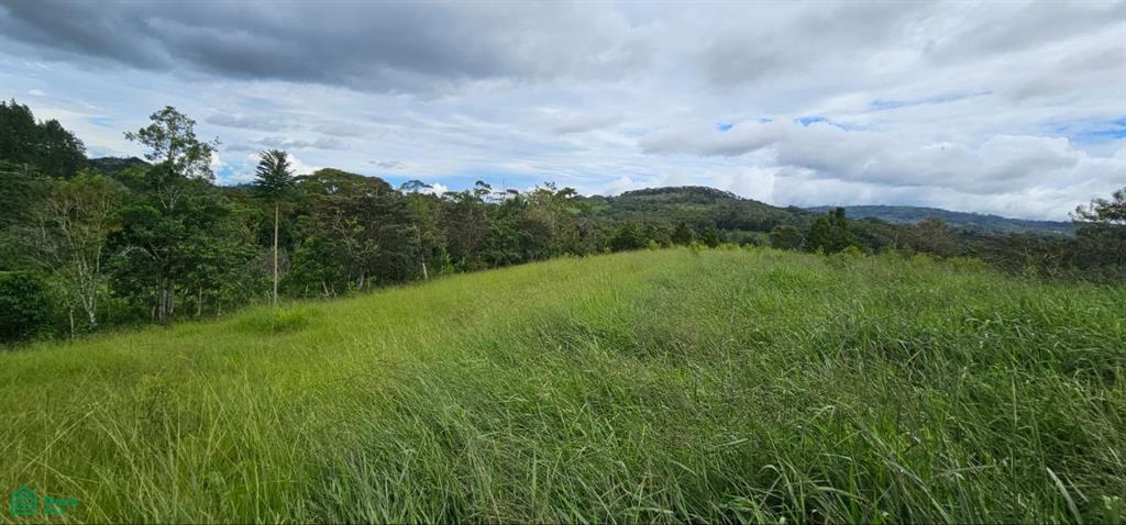 Property at Perez Zeledon