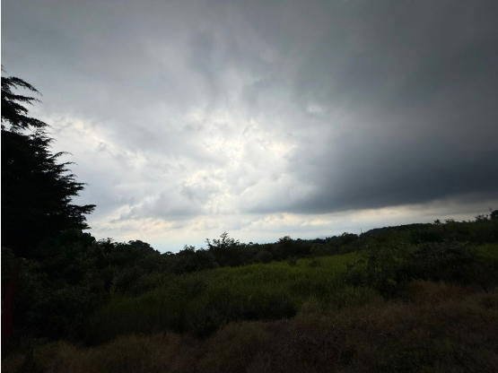 Propiedad en San José de la Montaña