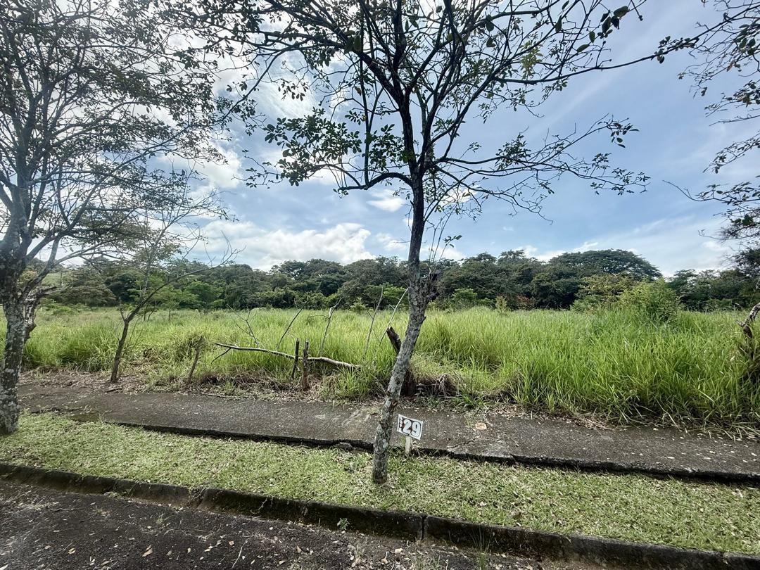 Property at Condominio Residencial Caballo Real