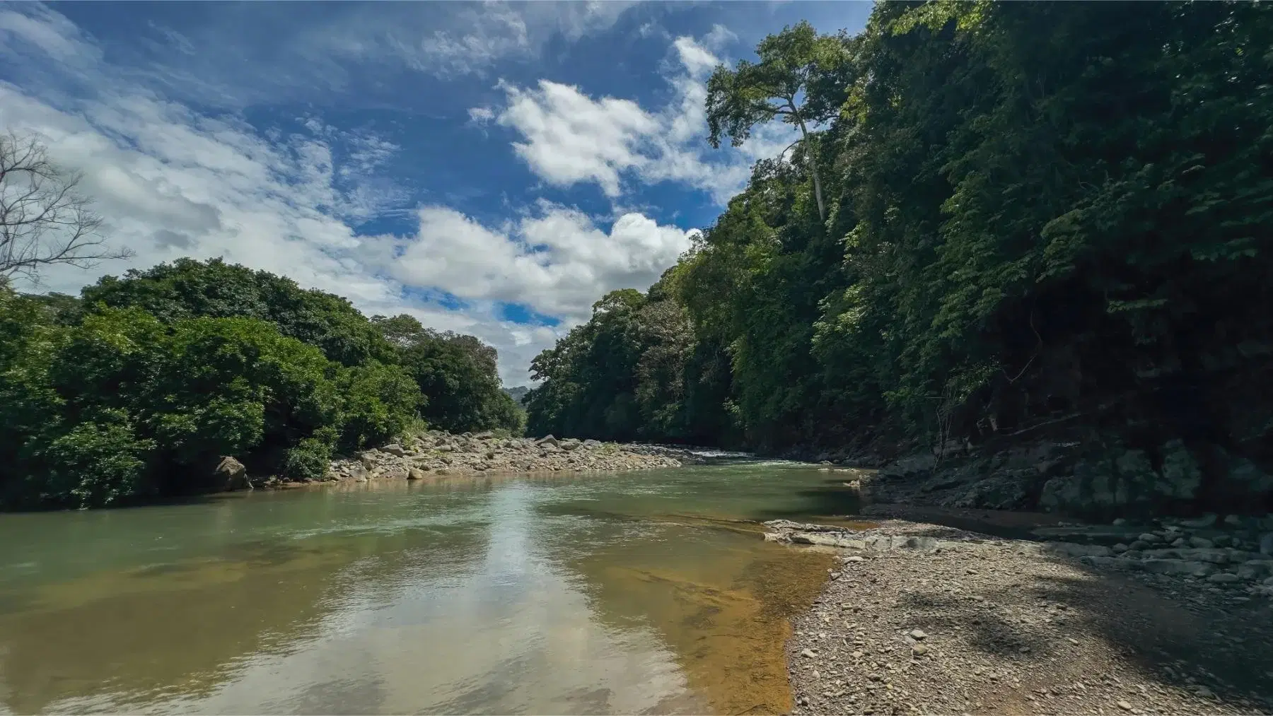 Terreno en Bahía Ballena
