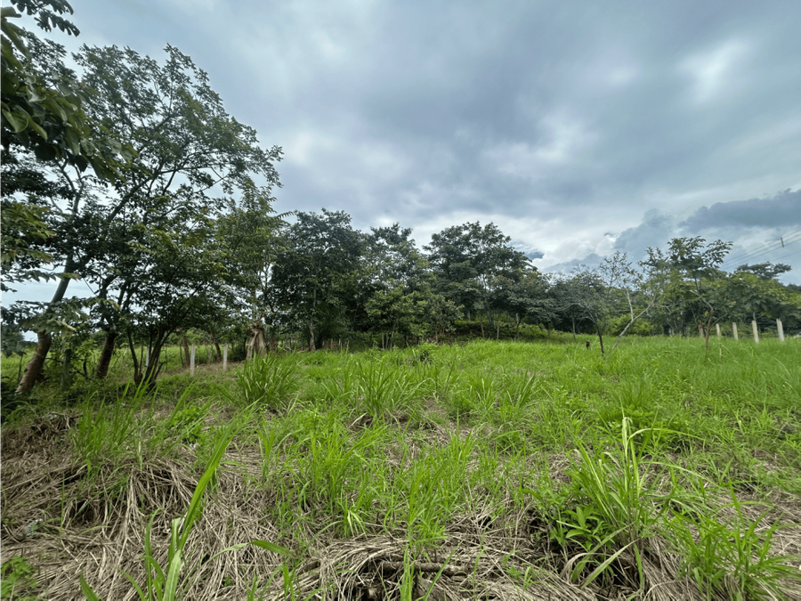 Terreno en Coyolar