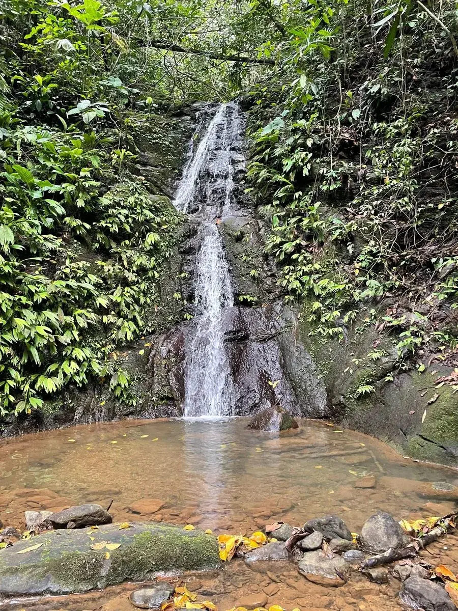 Terreno en Bahía Ballena
