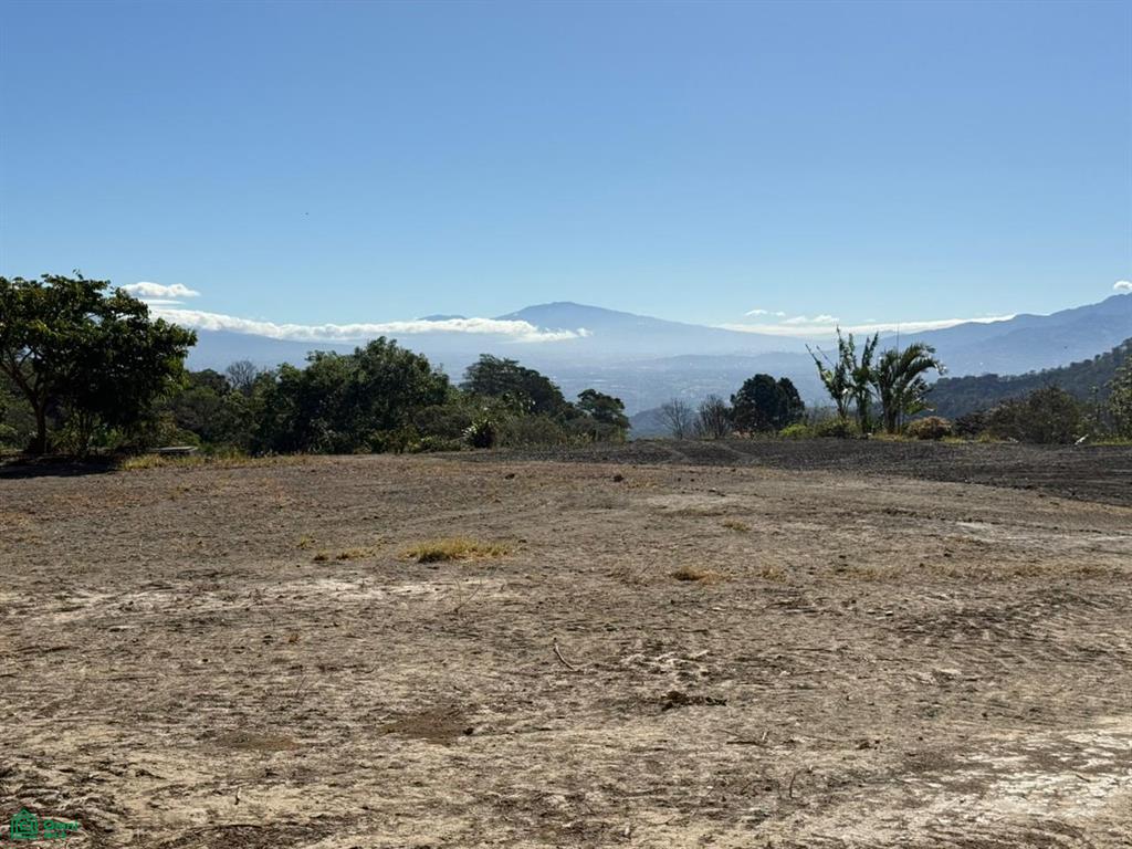 Terreno en Jesús