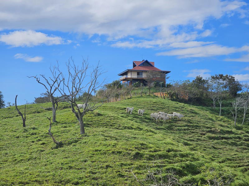 Terreno en Turrúcares