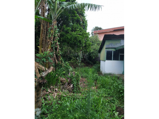 Property at Heredia