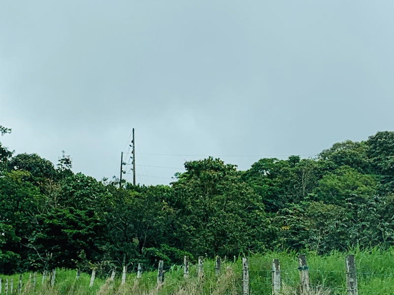Terreno en Toro Amarillo