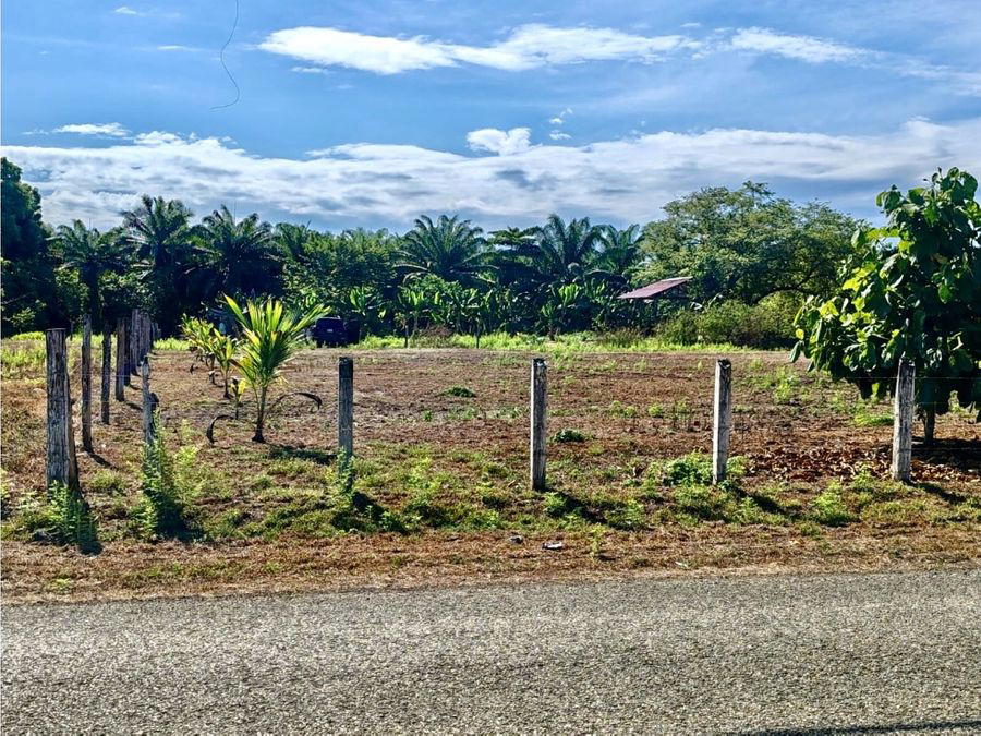 Property at Parrita