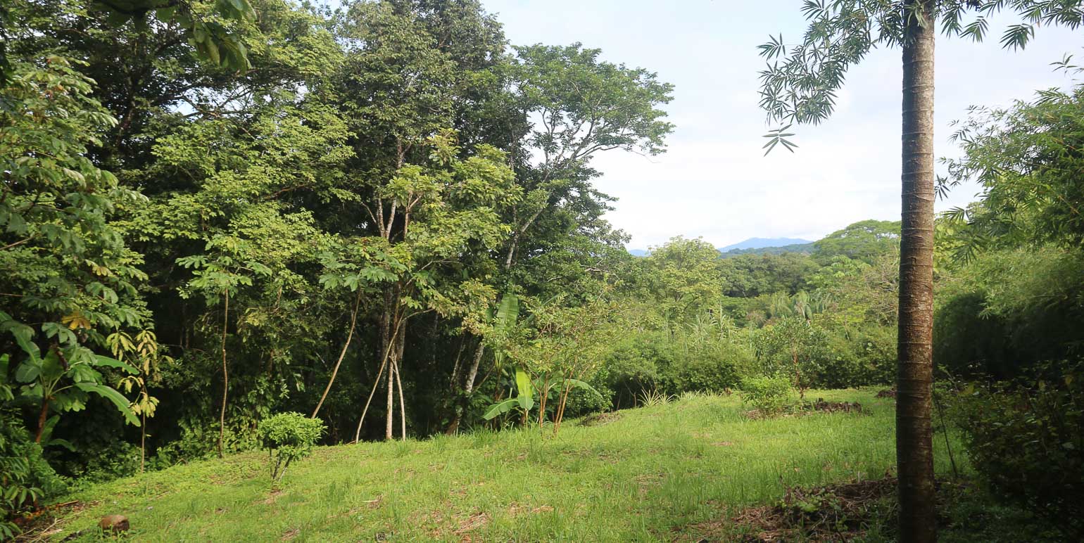 Property at Santa Teresa