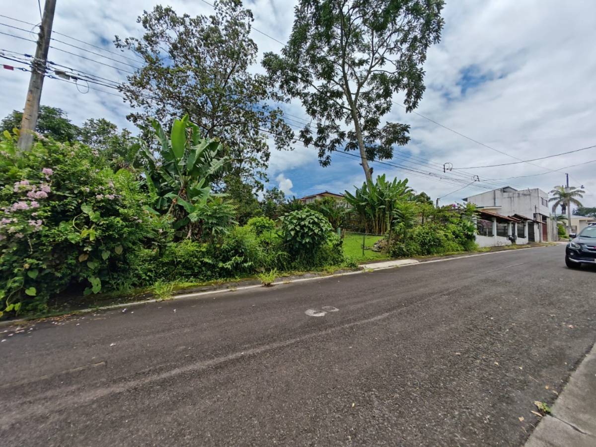 Propiedad en Turrialba