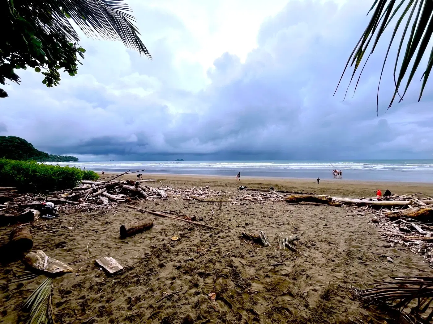 Land at Bahía Ballena