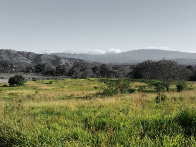 Terreno en Mercedes