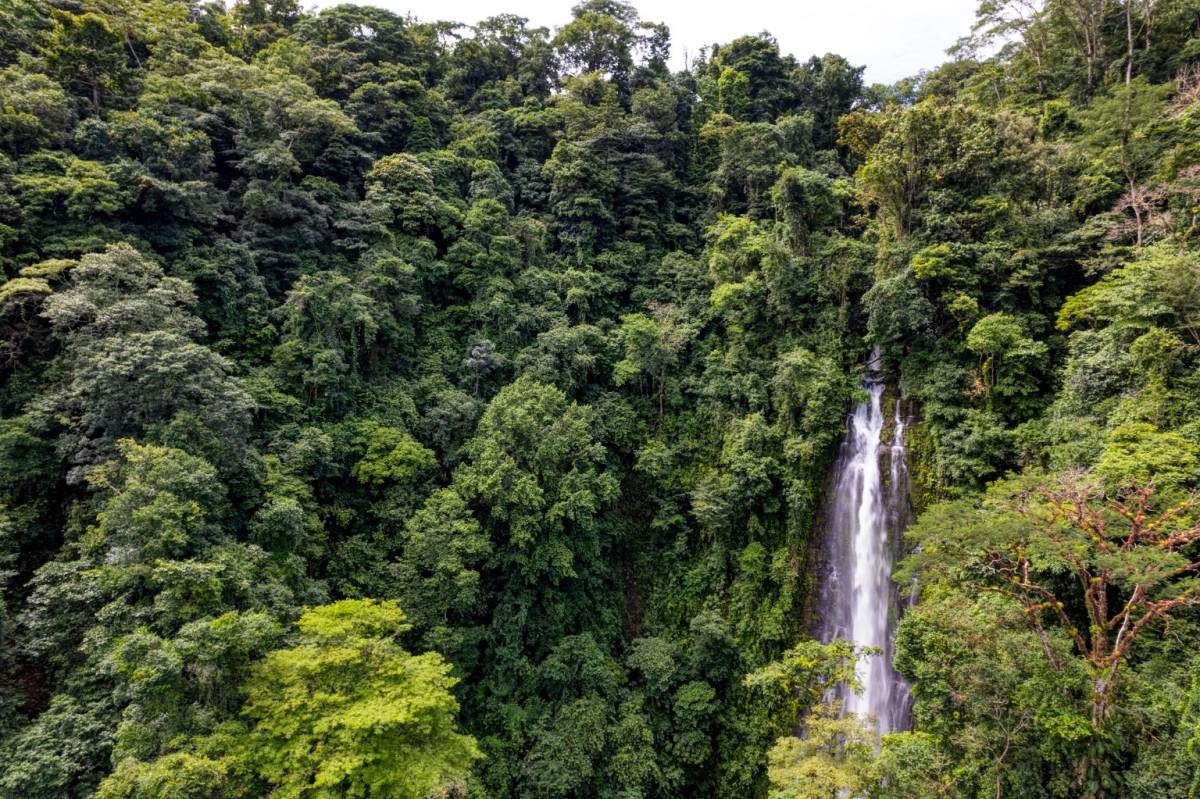 Propiedad en San Isidro del General