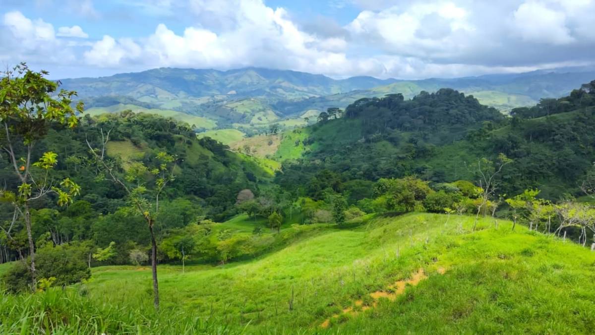 Finca en Pavona