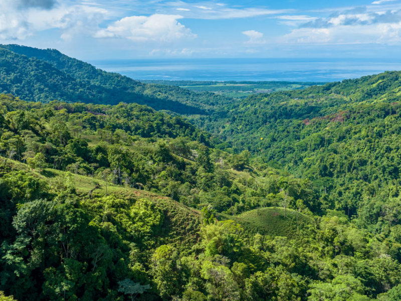 Land at Savegre