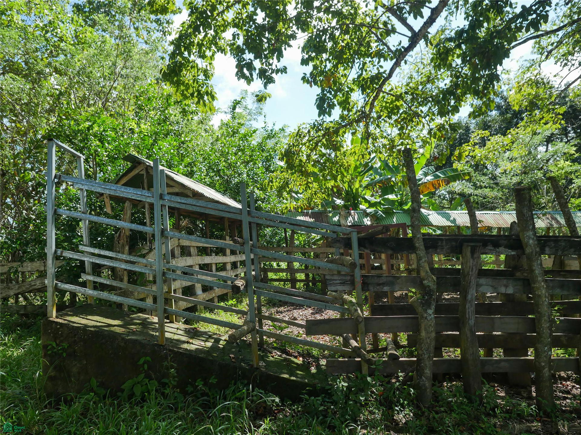 Land at Cóbano