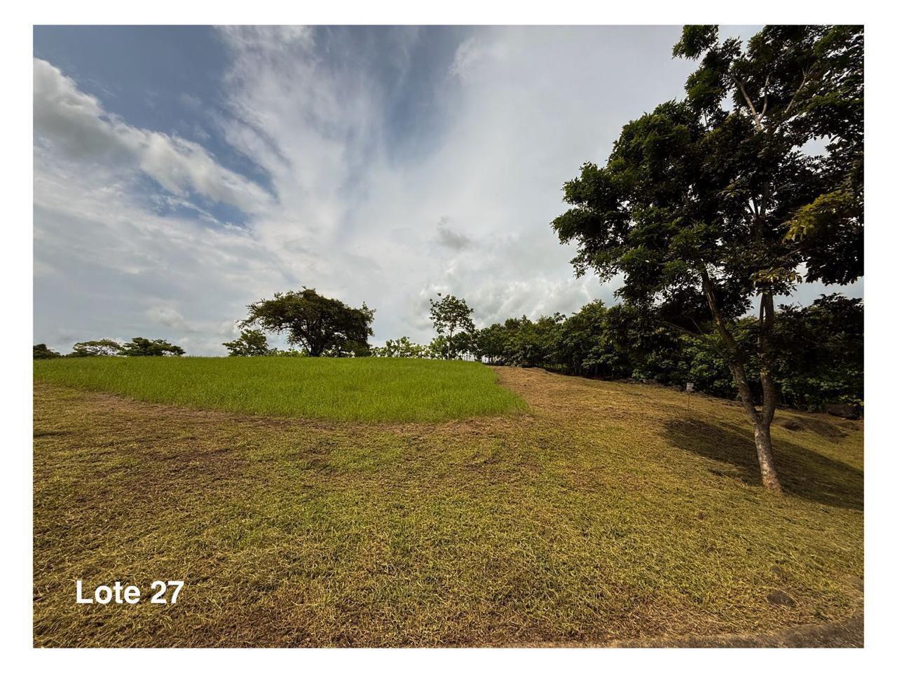 Property at Orotina