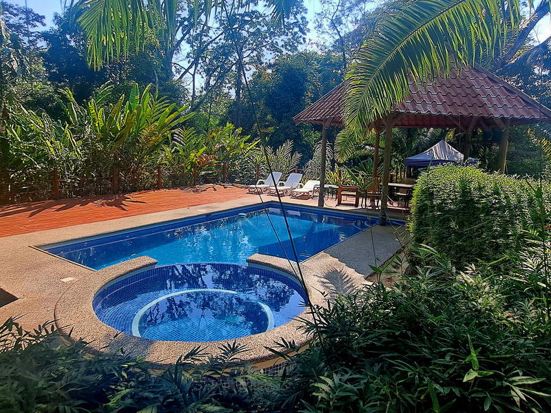 Commercial at Bahía Ballena