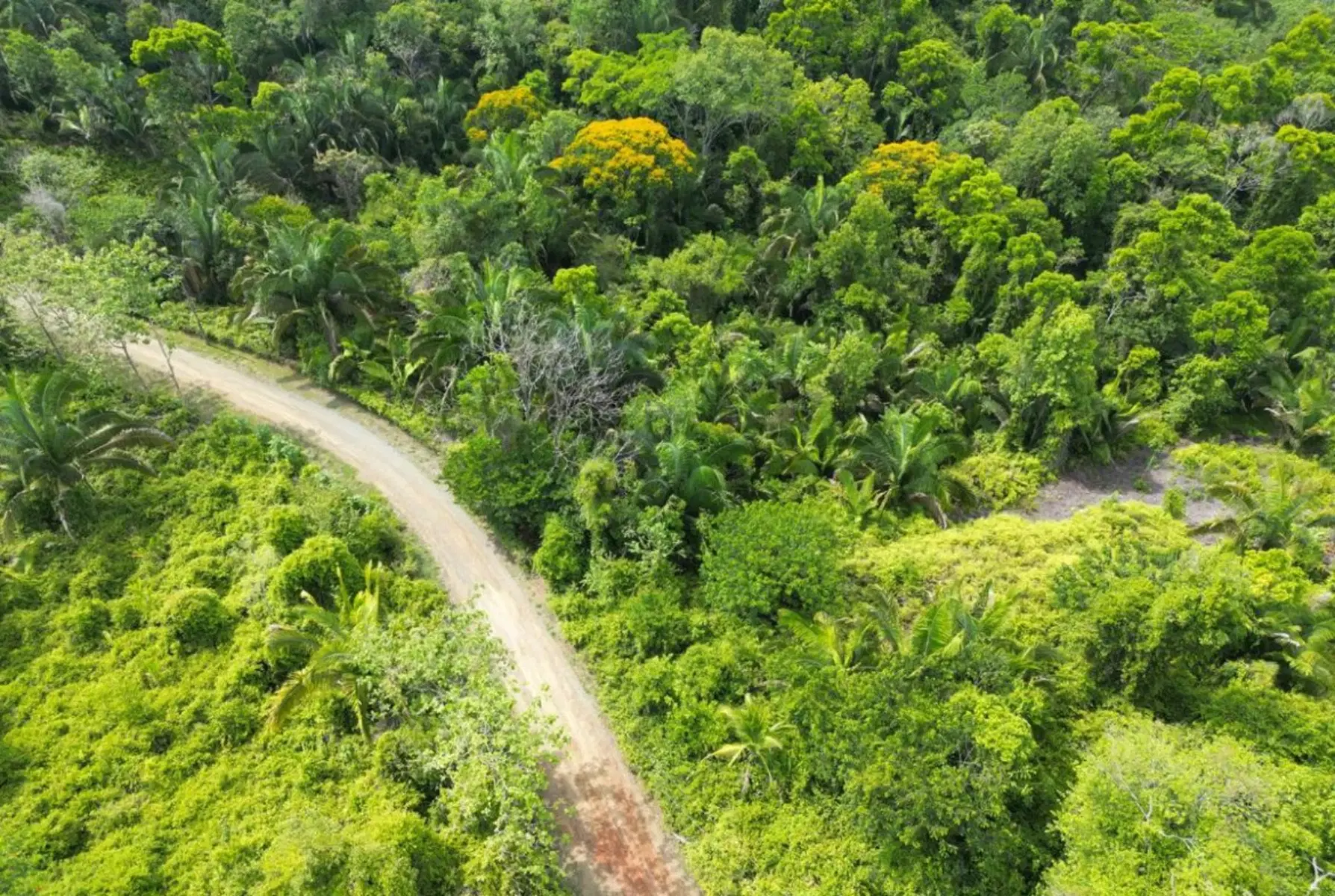 Land at Naranjito