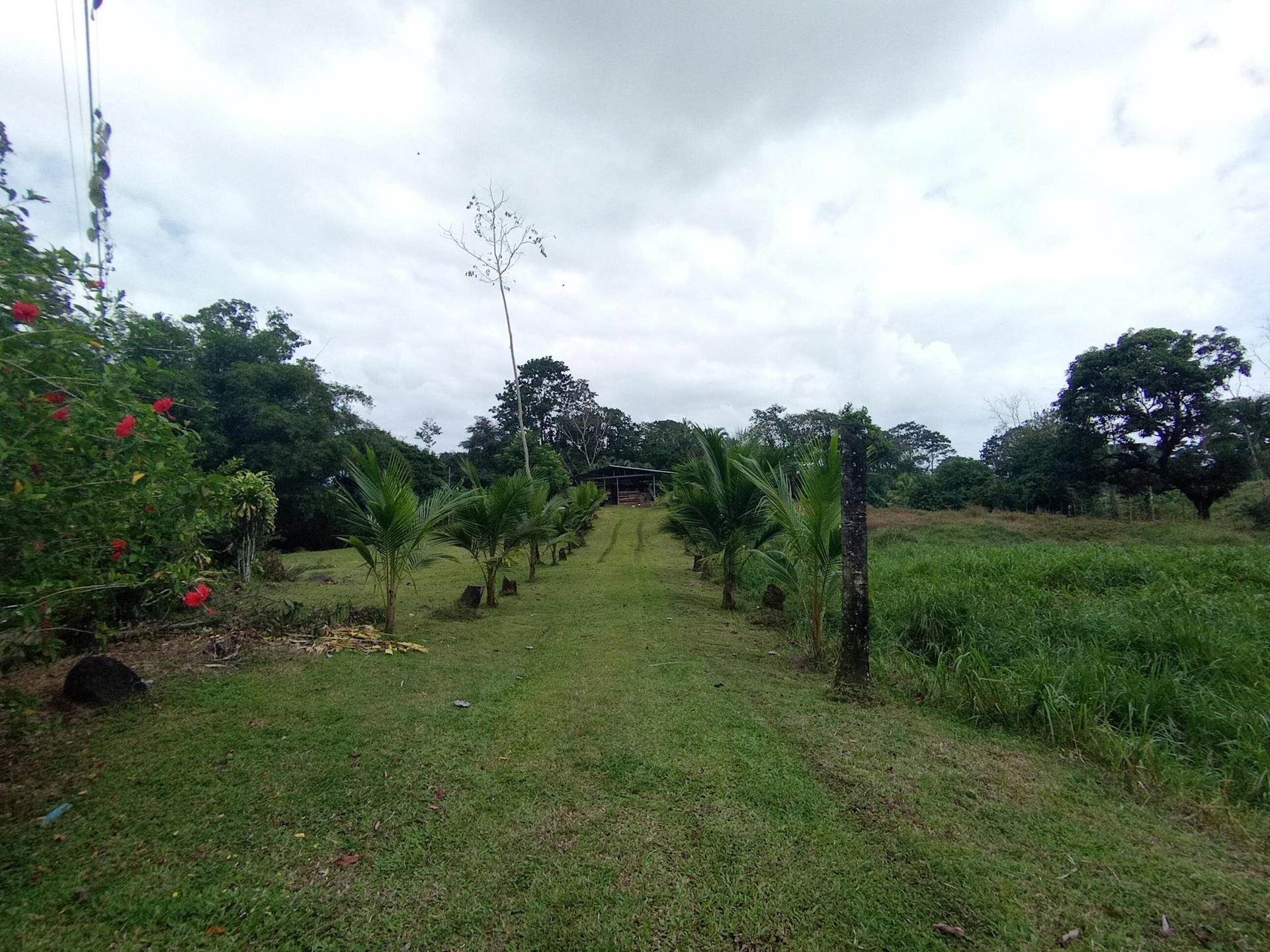 Property at Florida