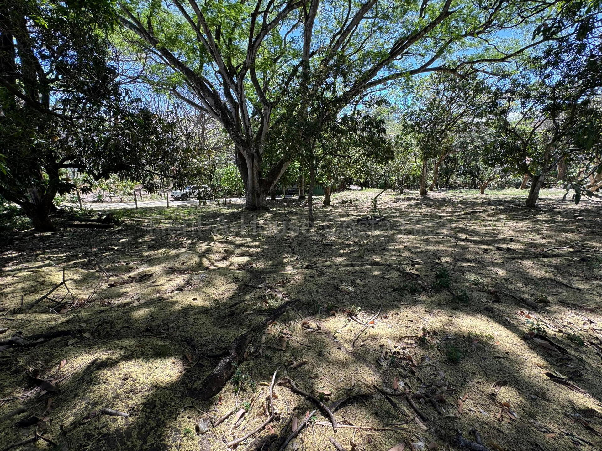 Property at Piedades