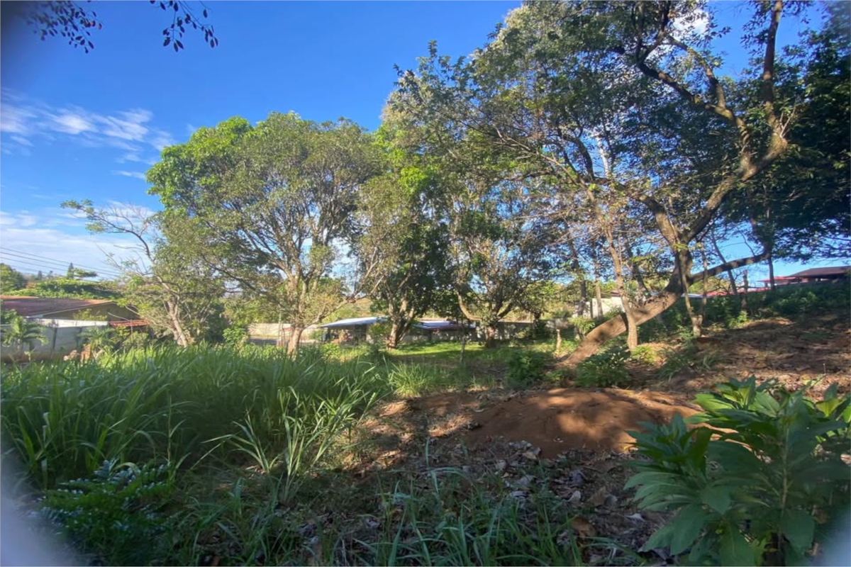 Land at La Garita