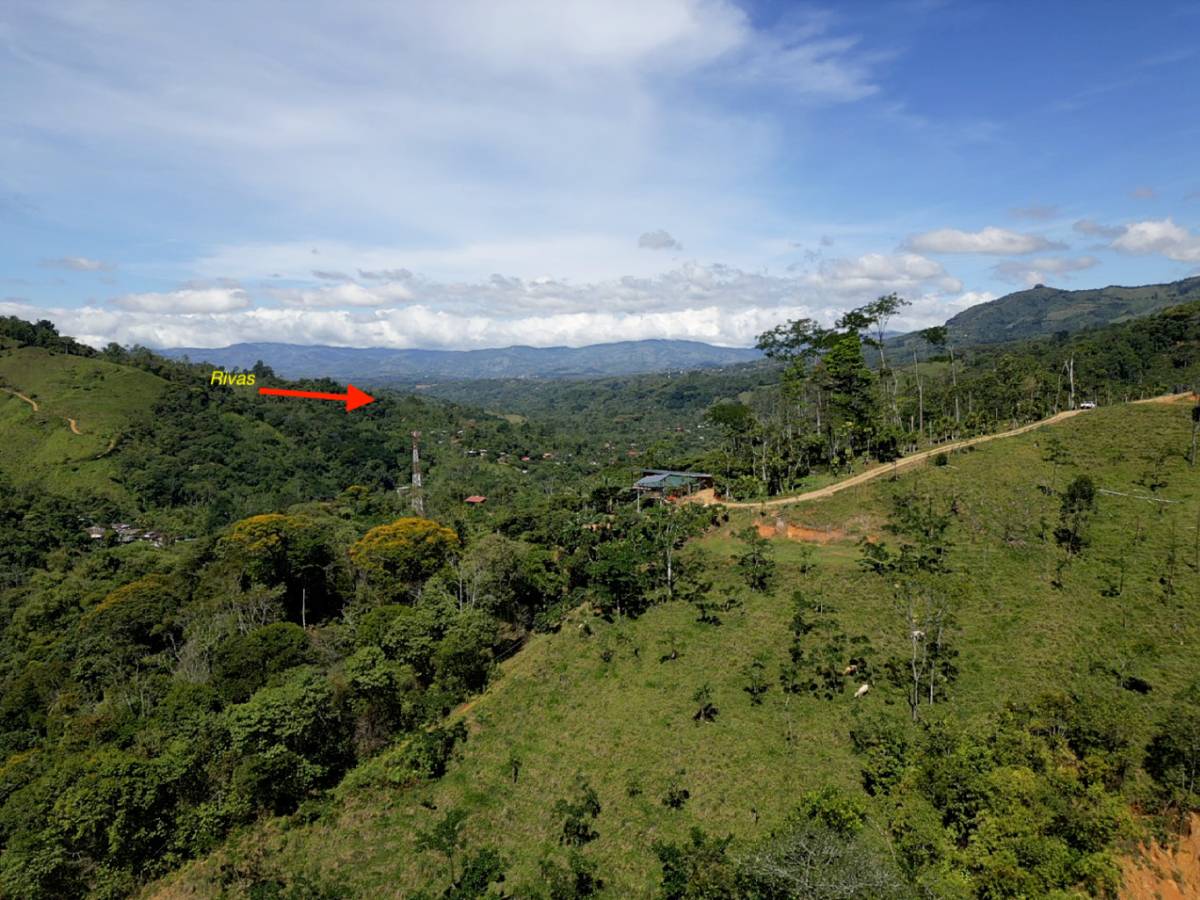 Finca en San Isidro del General