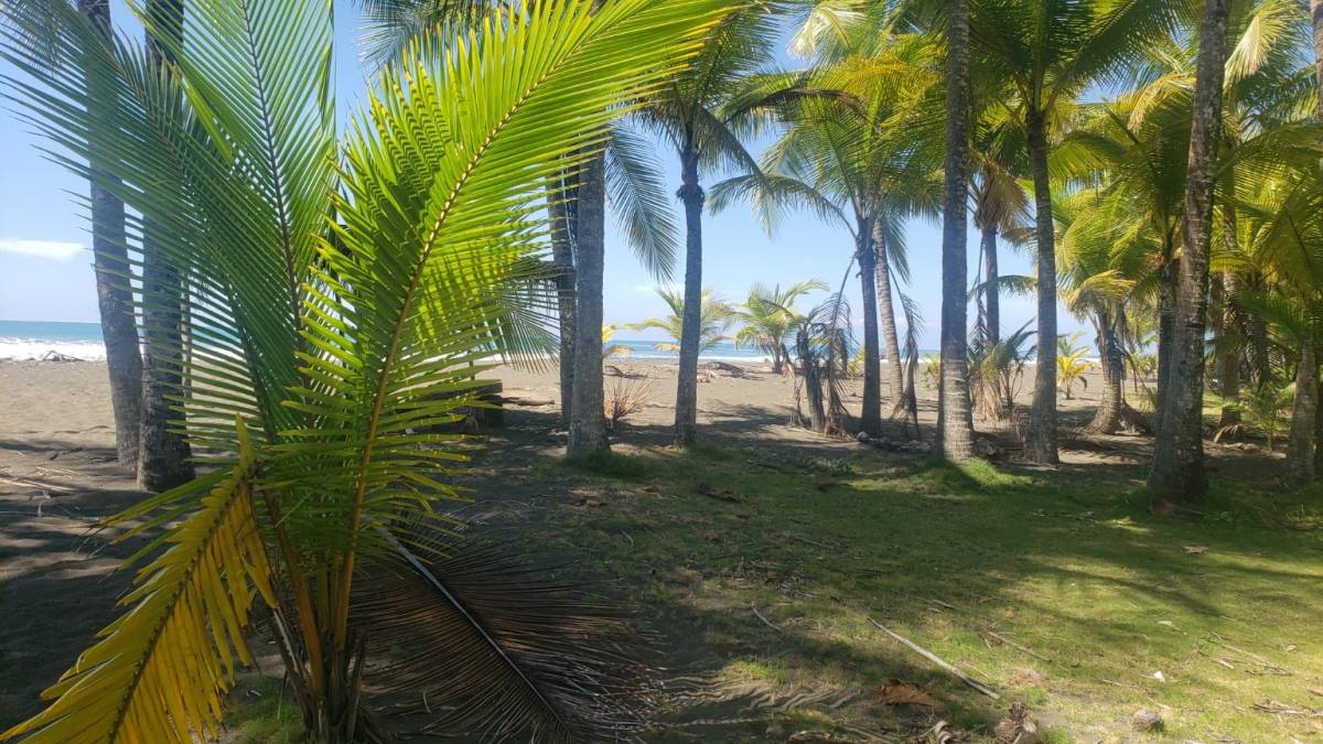 Property at Parrita