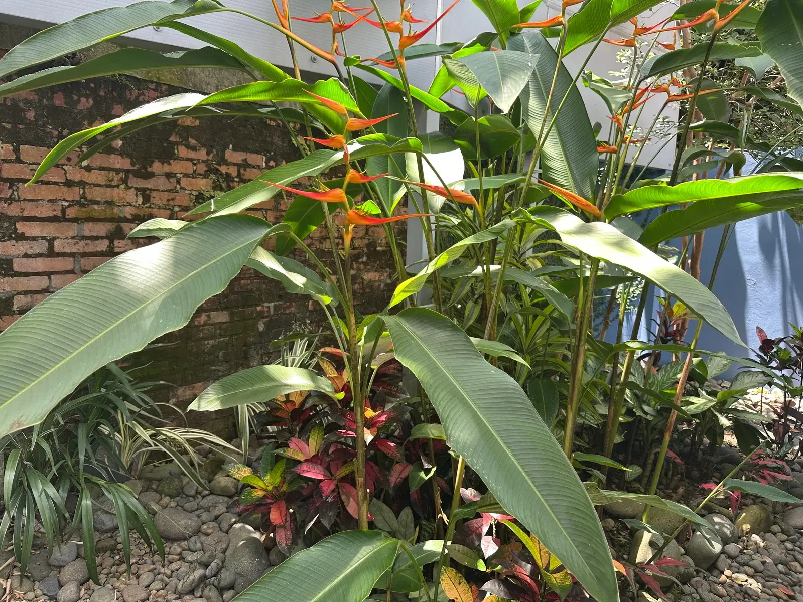 Property at San Pedro